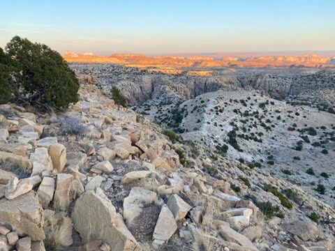 Compliance and Punishment – Part 2