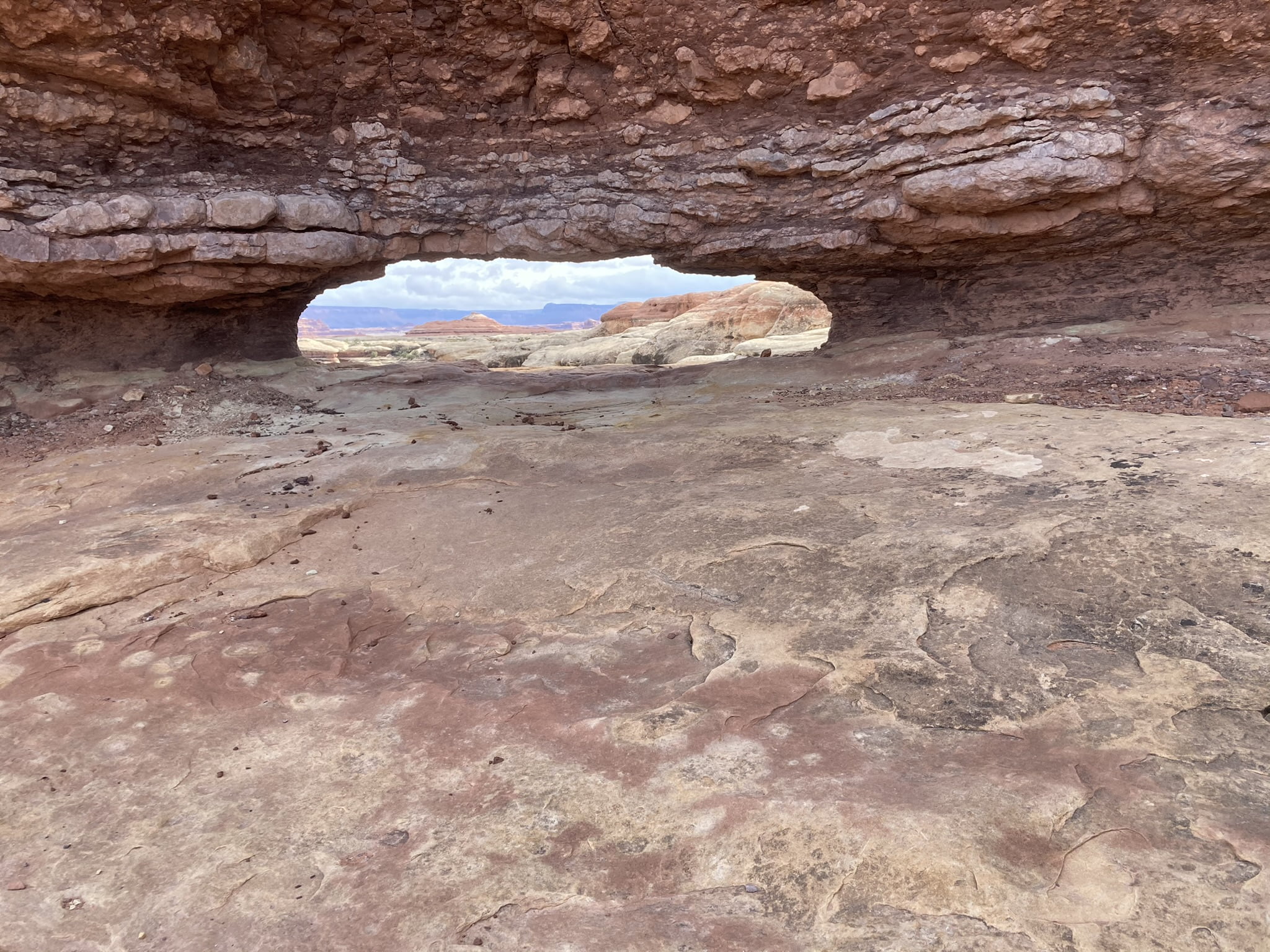 O AI, AI, wherefore art thou AI?