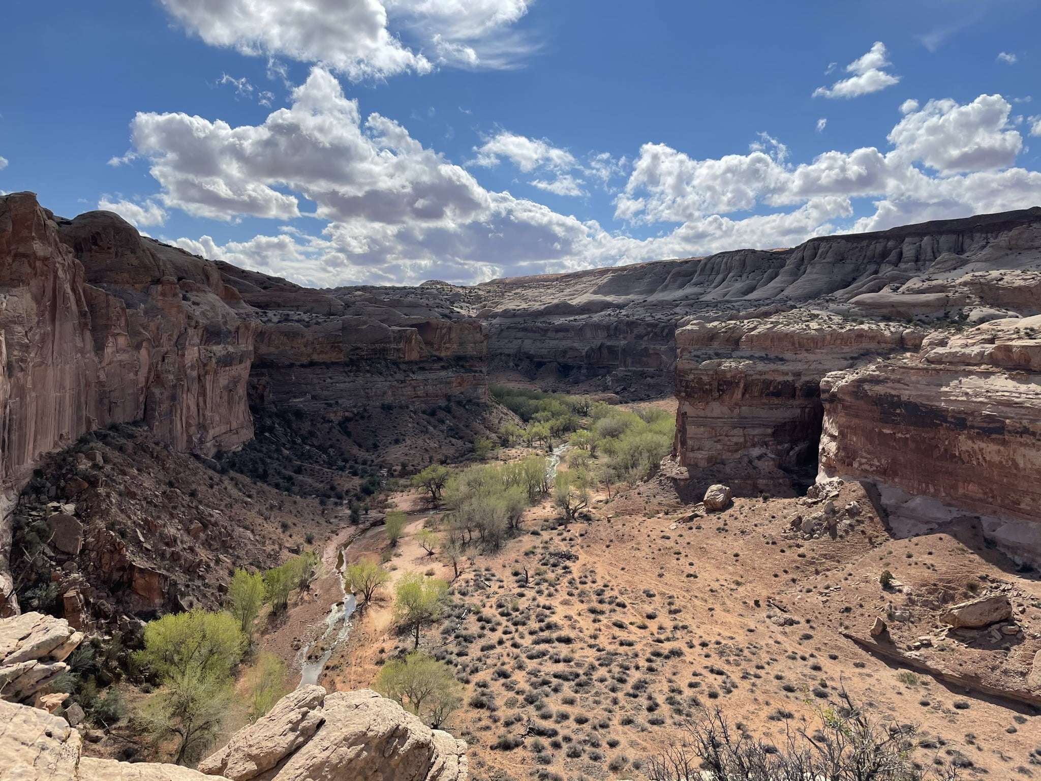 Compliance and Punishment – Part 1